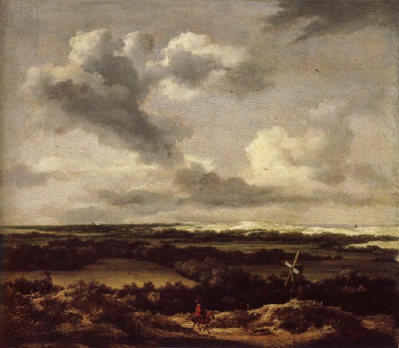 Jacob van Ruisdael Dune landscape with a rabbit hunt Germany oil painting art